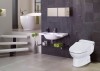 ĐẠI LÝ PHÂN PHỐI THIẾT BỊ VỆ SINH TOTO CHÍNH HÃNG TẠI QUẢNG NINH