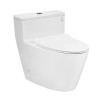 Bàn cầu 1 khối MS625DT8