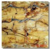 Gạch 80 x80 CT8030