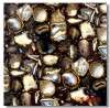 Gạch 80 x80 CT8045