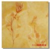 Gạch 80 x80 CT8013
