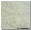 Gạch 80 x80 CT8003A