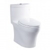 Bàn cầu 1 khối MS889DT2