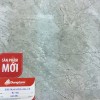 Gạch 8080 Đồng Tâm TRUONGSON005