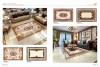 Chiếu nghỉ CT-030