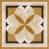 Gạch 80x80 60120-4