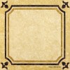 Gạch 80x80 60120-2