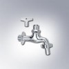 Vòi nước lạnh LF-15G-13