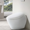 Bàn cầu NEOREST CS900VT