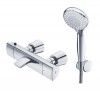 SEN TẮM NHIỆT ĐỘ TOTO TS244A/DGH108ZR
