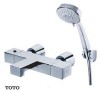 VÒI SEN TẮM TOTO TS252A/DGH104