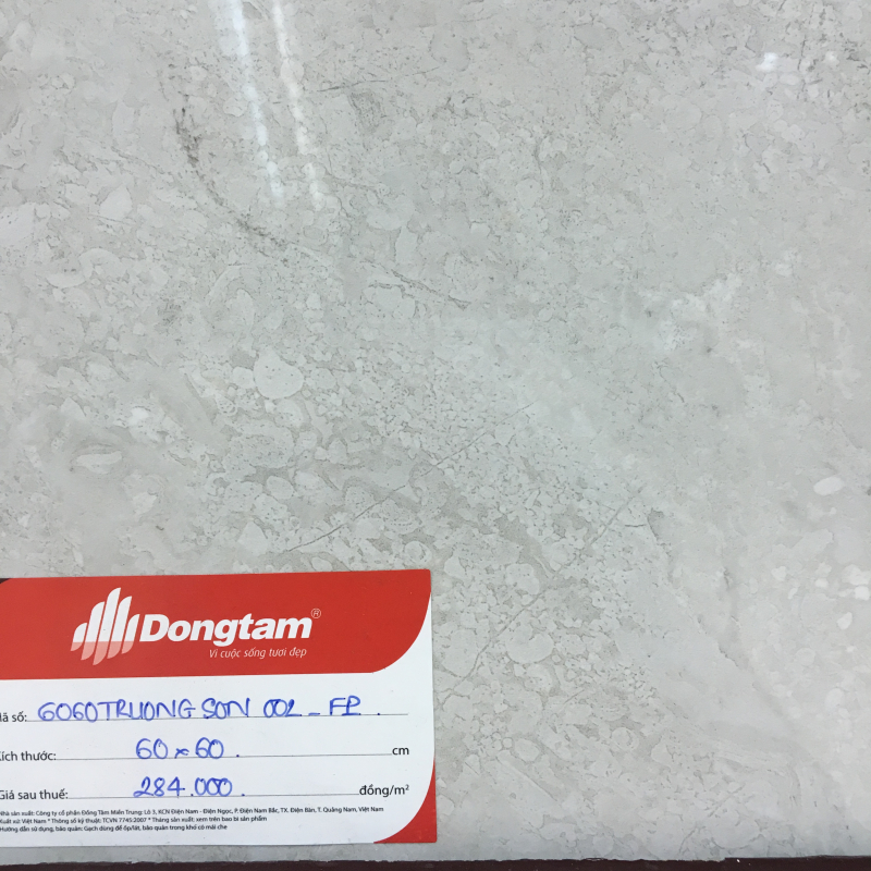 dong tam 60x60 truongson 002